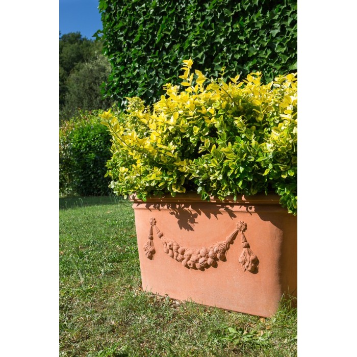 Ovale Festonato in Terracotta d'Impruneta