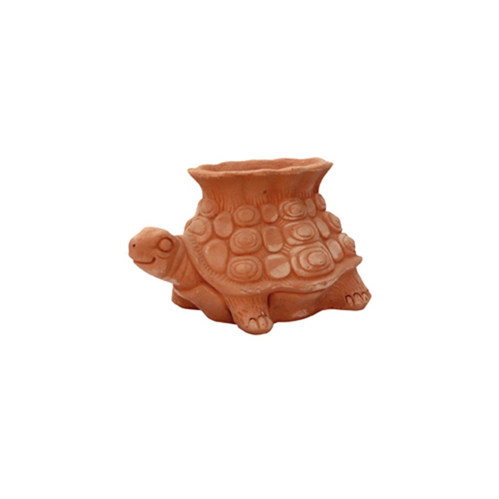 Tartaruga Aperta in Terracotta