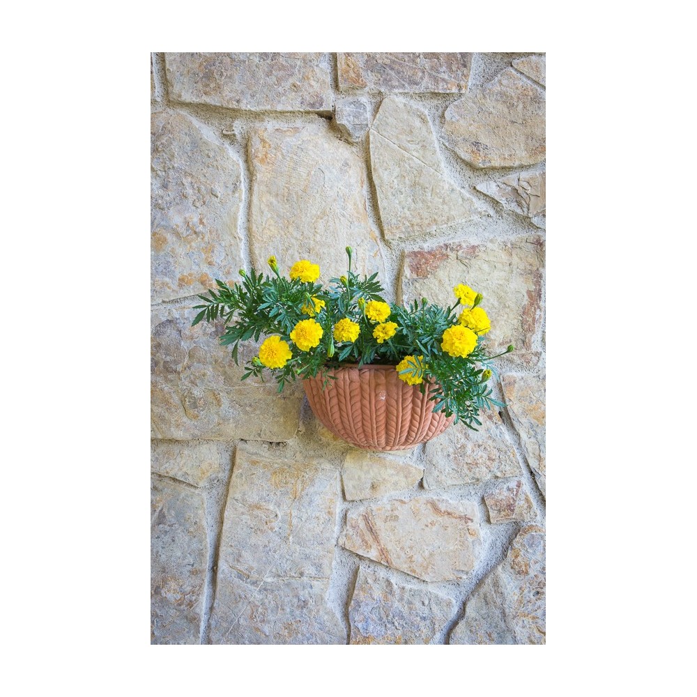 Tasca a Parete Intrecciata in Terracotta