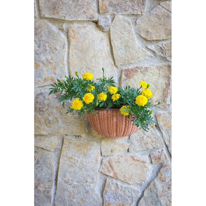 Tasca a Parete Intrecciata in Terracotta