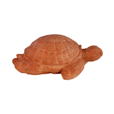 Tartaruga in Terracotta