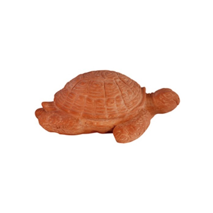 Terracotta Turtle