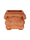 Square with Terracotta Dragons