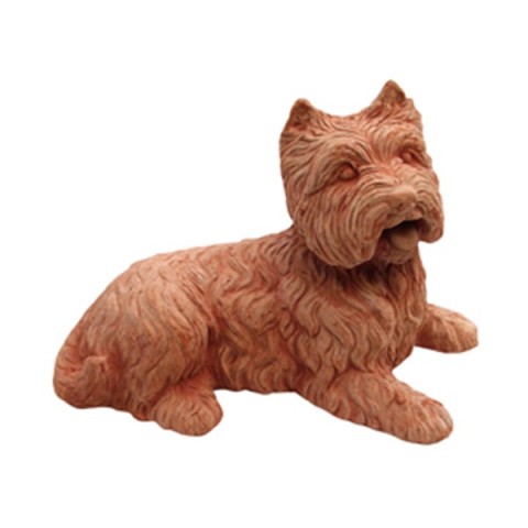 Cane Fox Terrier in Terracotta