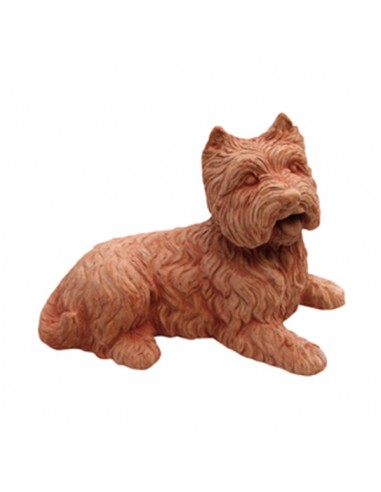 Cane Fox Terrier in Terracotta