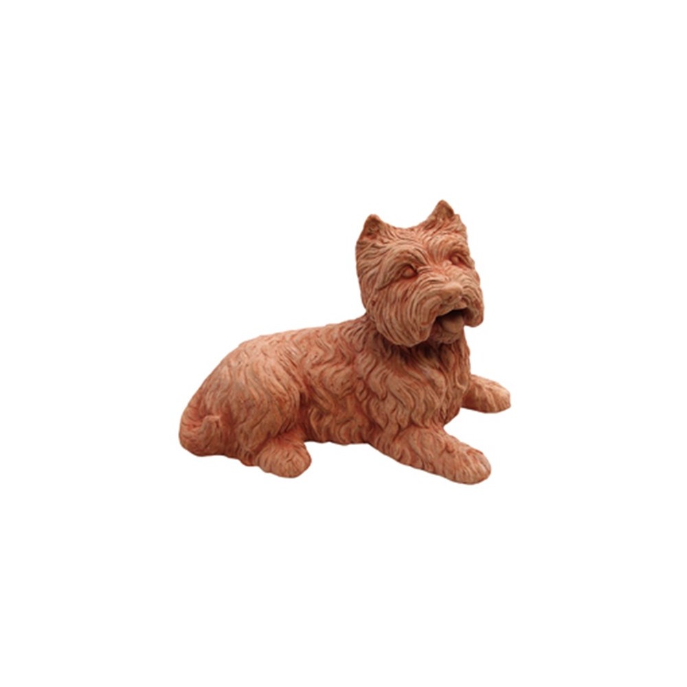 Cane Fox Terrier in Terracotta