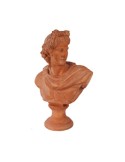 Terracotta Bust of Dionysus