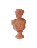 Diana Bust in Terracotta