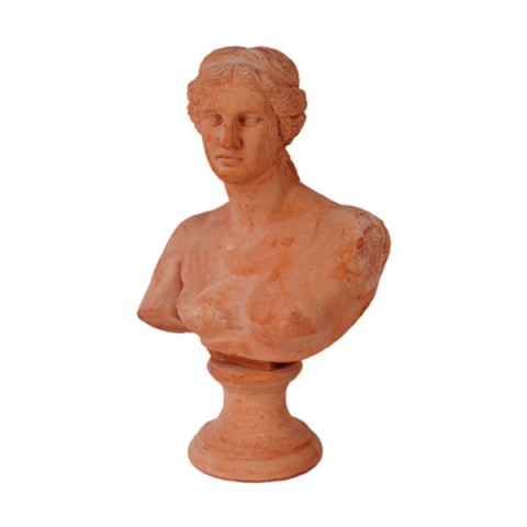 Busto Niobe in Terracotta