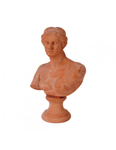 Busto Niobe in Terracotta