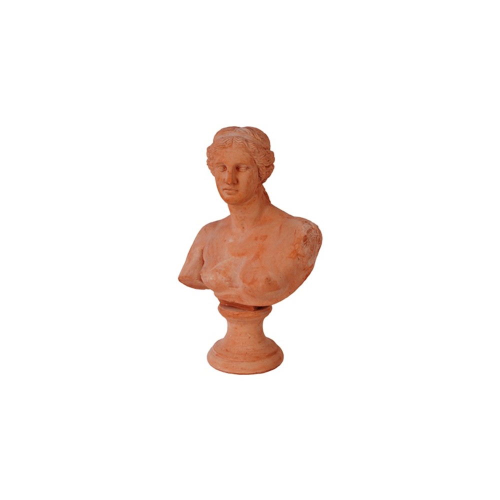 Busto Niobe in Terracotta