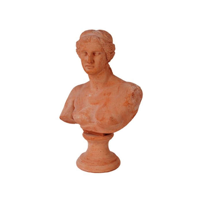 Busto Niobe in Terracotta