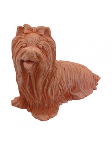 Cane Yorkshire in Terracotta