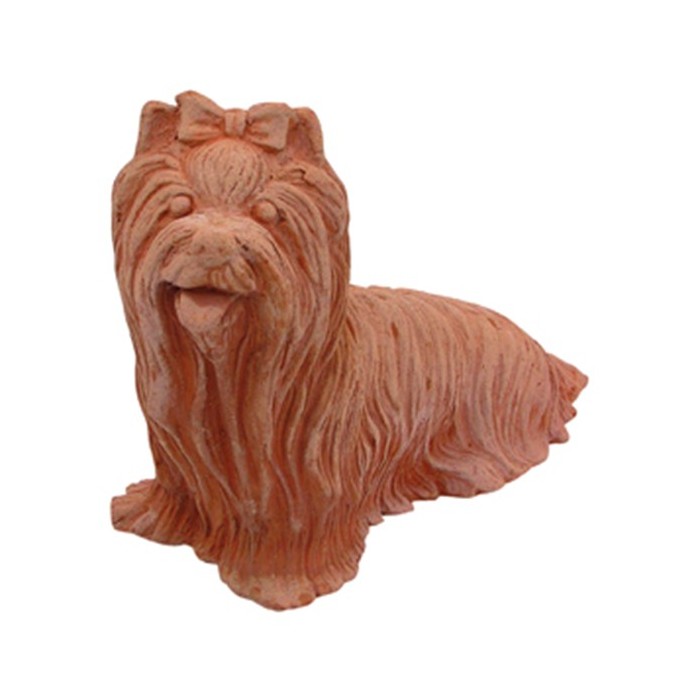 Yorkshire Terrier in Terracotta