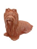 Yorkshire Terrier in Terracotta