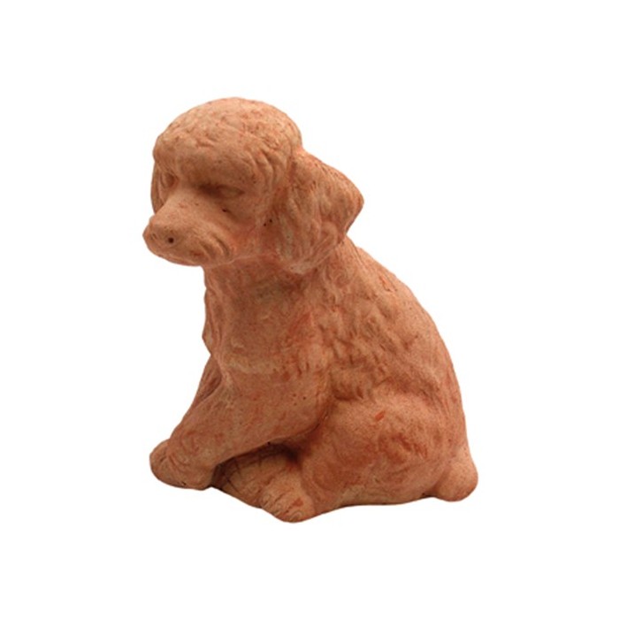 Cane Barboncino in Terracotta