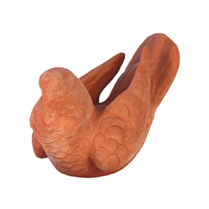 Colomba in Terracotta