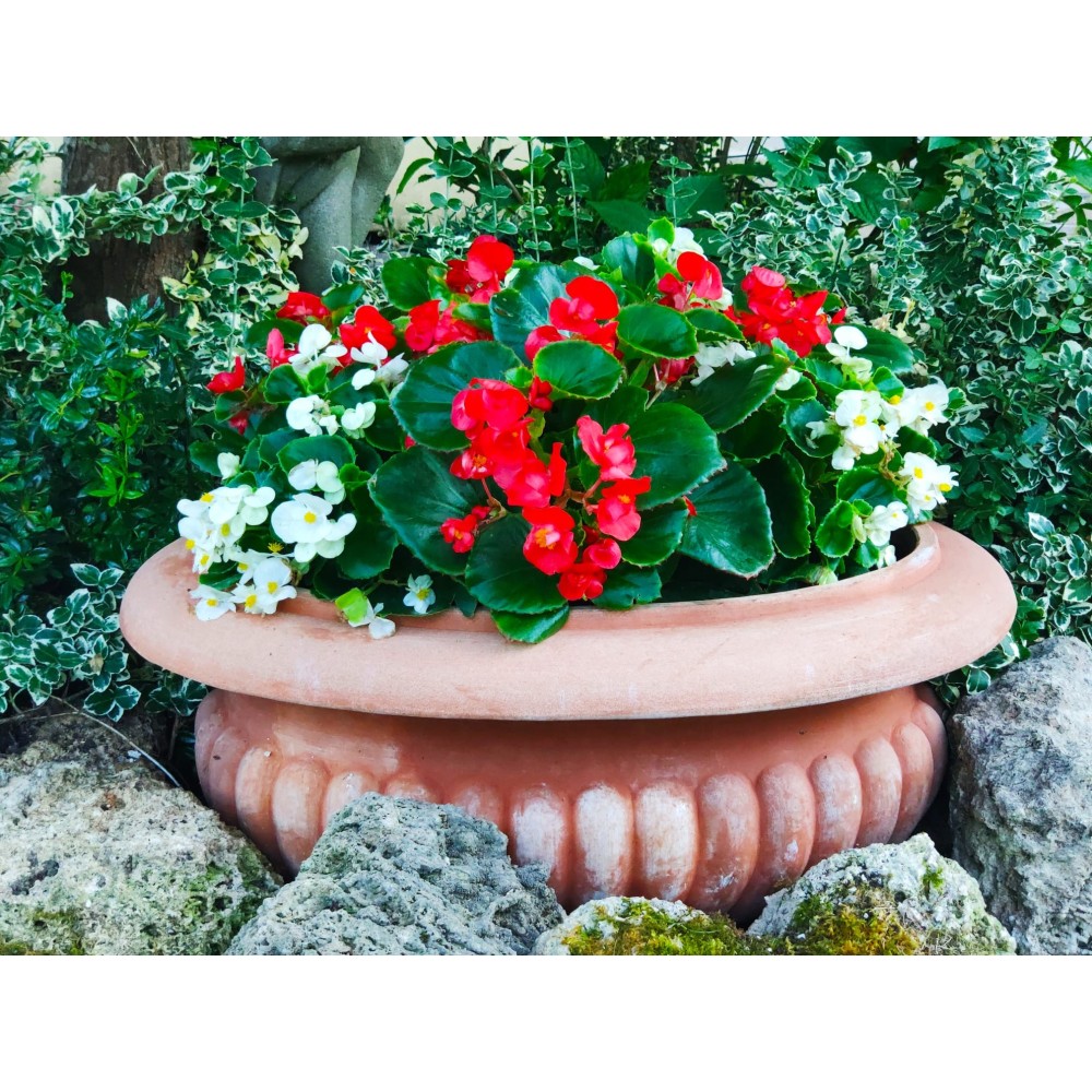 Oval Terracotta Chalice Vase