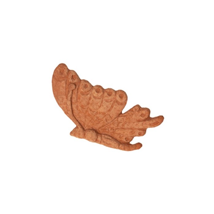 Half Butterfly in Terracotta