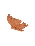 Half Butterfly in Terracotta