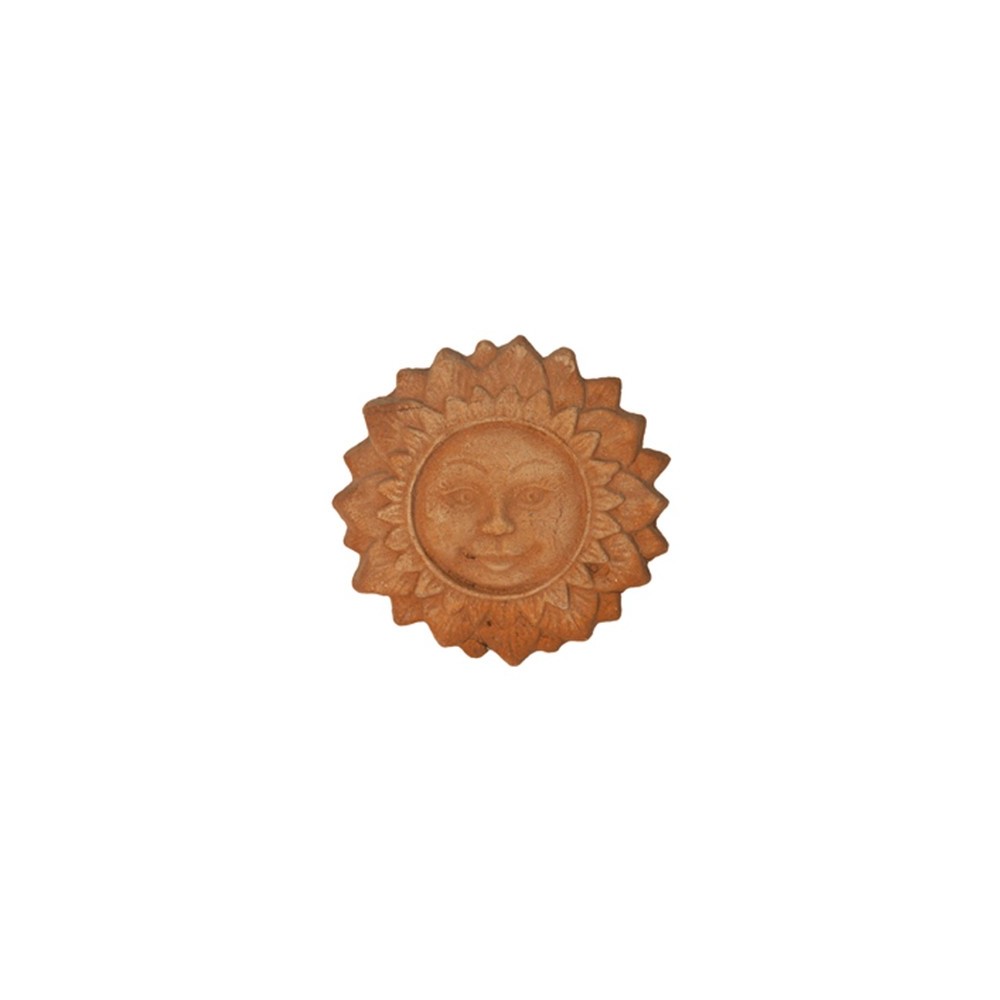 Sunflower in Terracotta