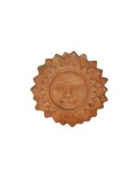 Sunflower in Terracotta