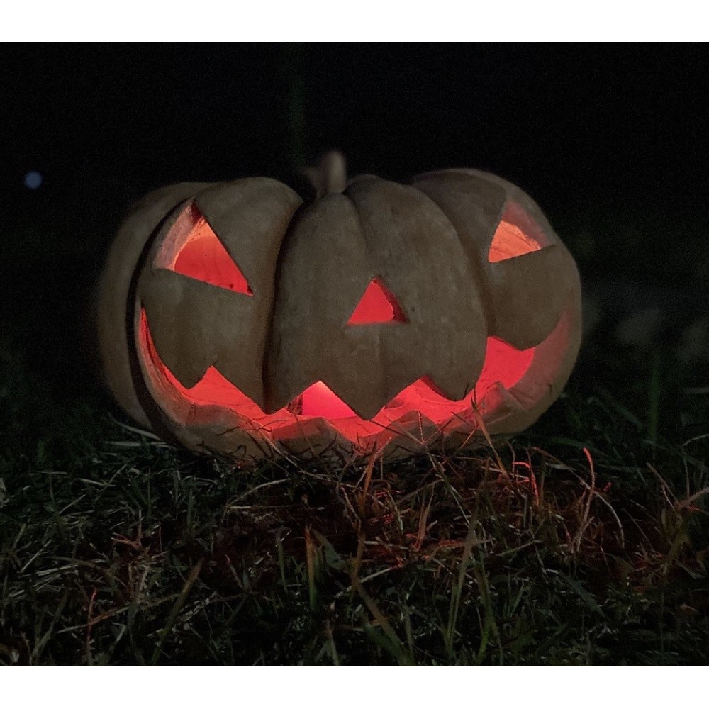 Zucca di Halloween in Terracotta