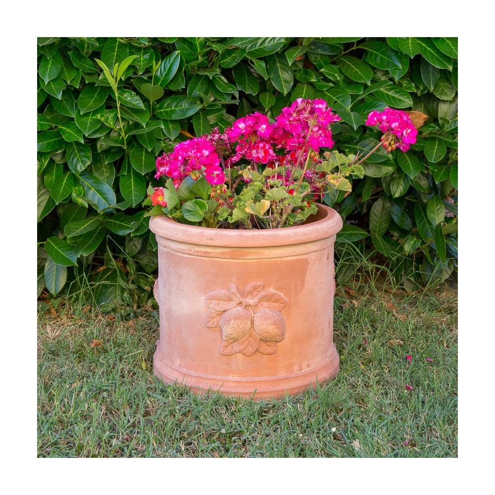 Cilindro con Limoni in Terracotta