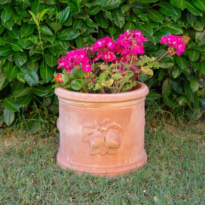 Cilindro con Limoni in Terracotta