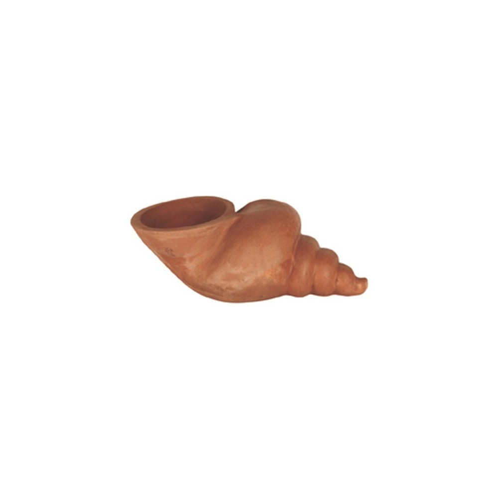 Conchiglia in terracotta