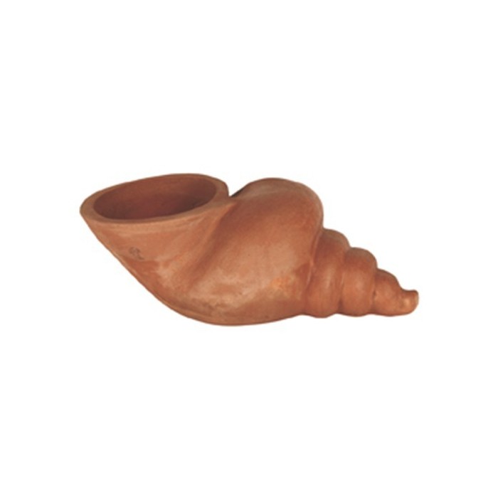 Conchiglia in terracotta