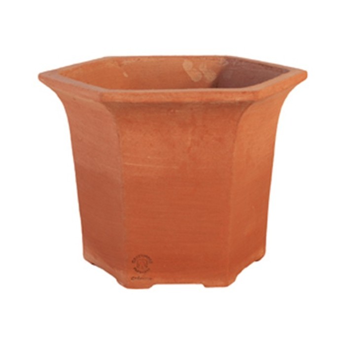 Vaso esagonale in terracotta | Terrecotte Cestenoli