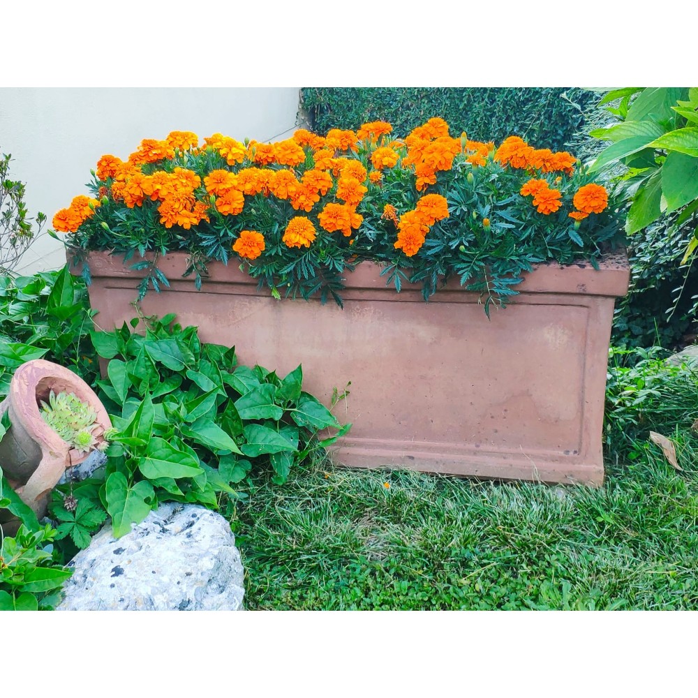 Cassetta Liscia in Terracotta d'Impruneta