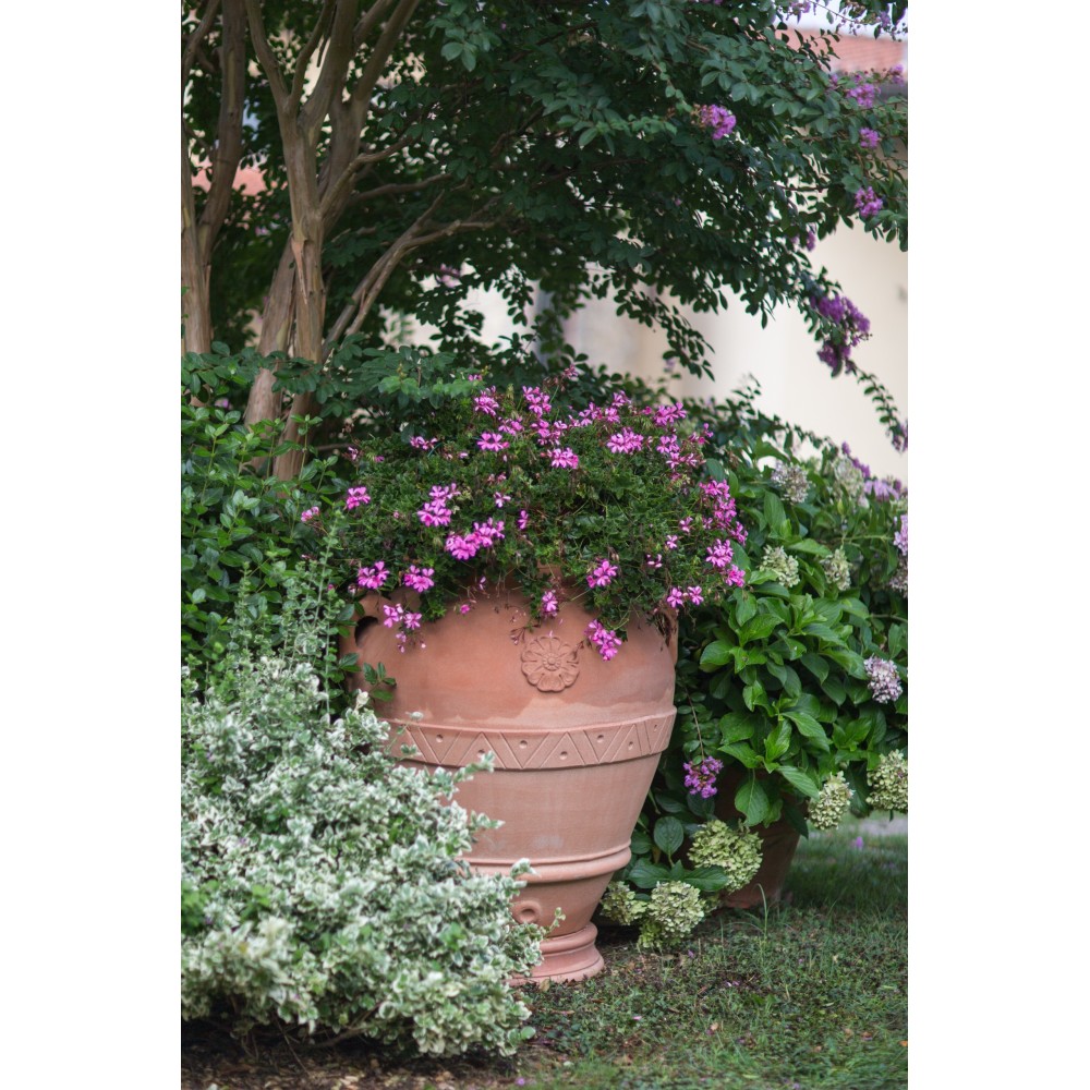 Orcio con Rosetta in Terracotta d'Impruneta