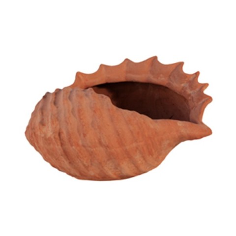 Conchiglia in Terracotta
