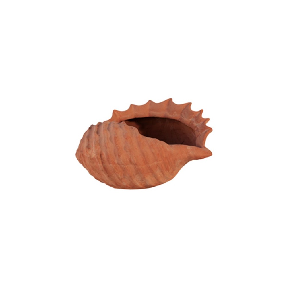 Conchiglia in Terracotta