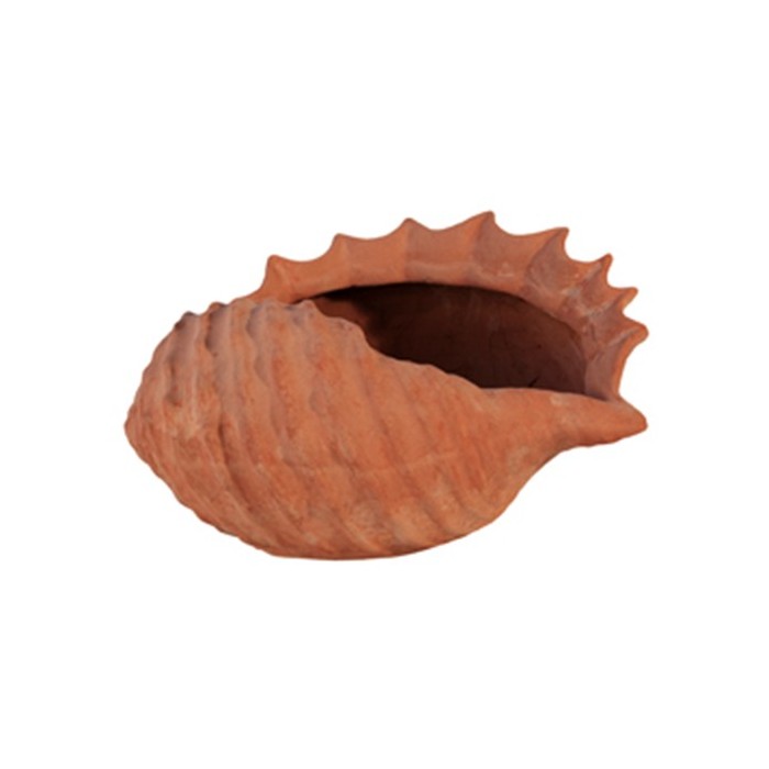 Conchiglia in Terracotta
