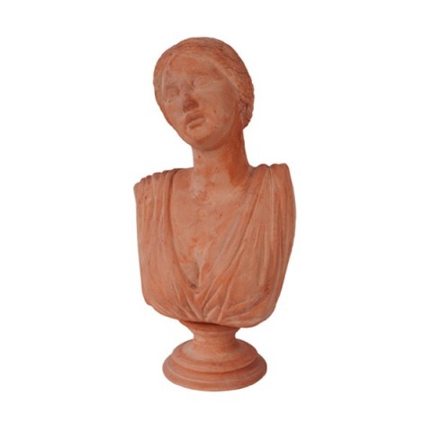 Busto Niobe in terracotta