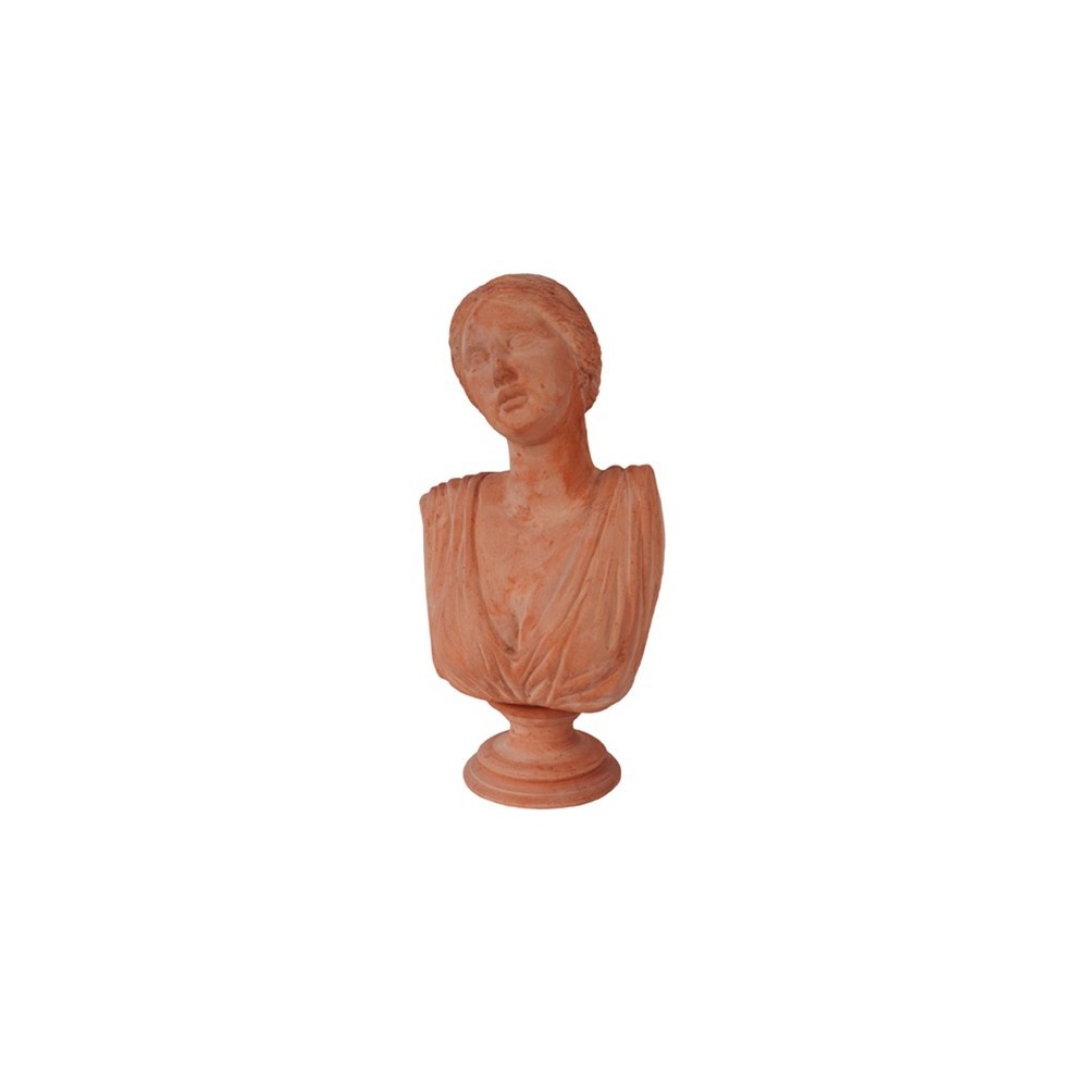 Busto Niobe in terracotta