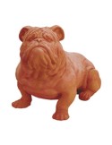 Bulldog in terracotta | Terrecotte Cestenoli