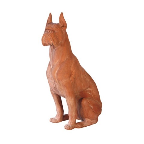 Boxer in terracotta