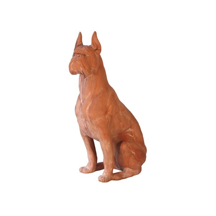 Boxer in terracotta
