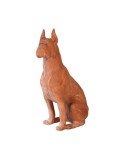 Boxer in terracotta