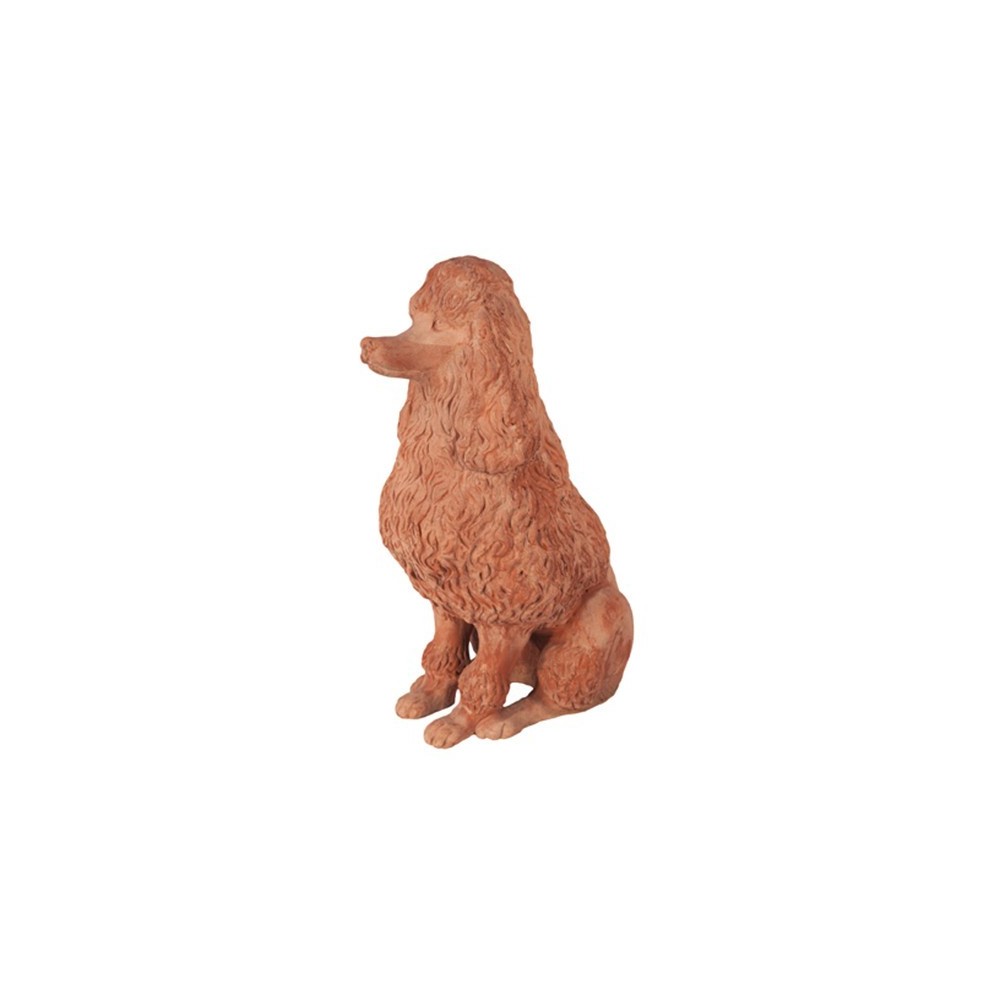 Barboncino in terracotta