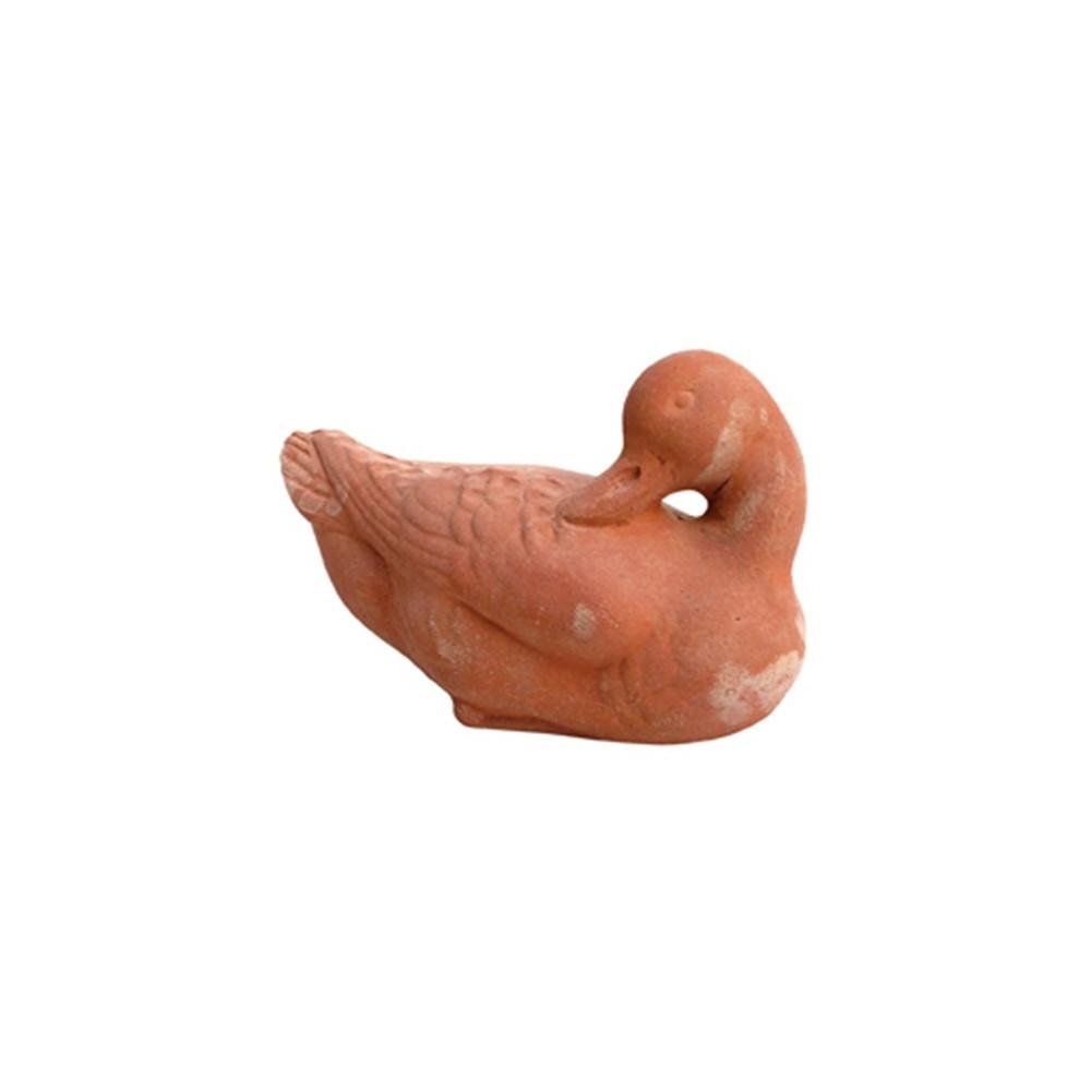 Anatra in terracotta