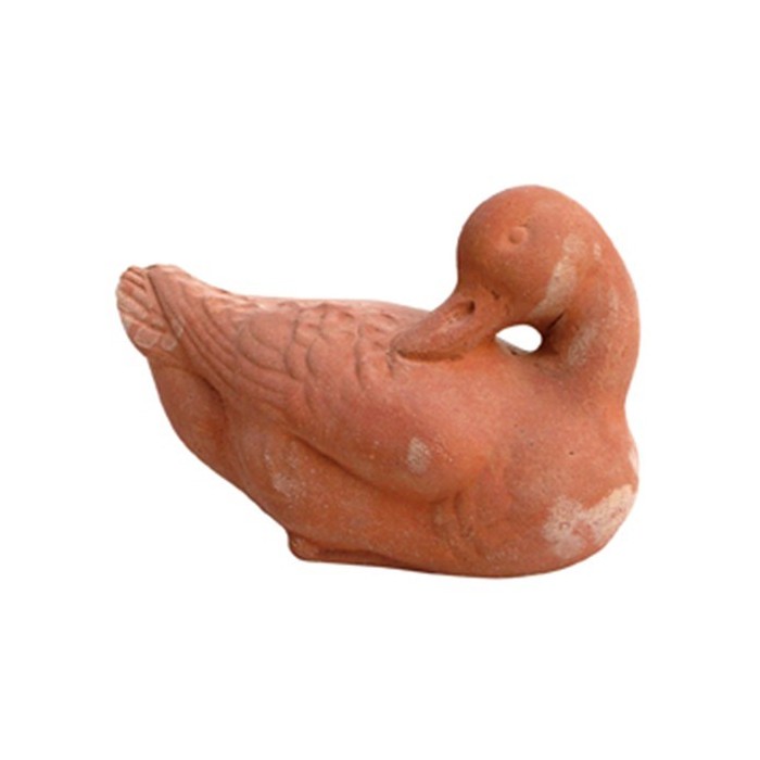 Anatra in terracotta