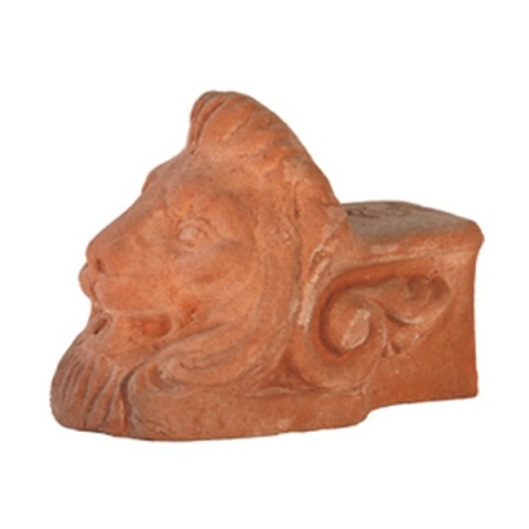 Terracotta lion's paw