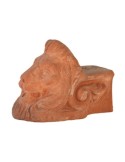 Terracotta lion's paw