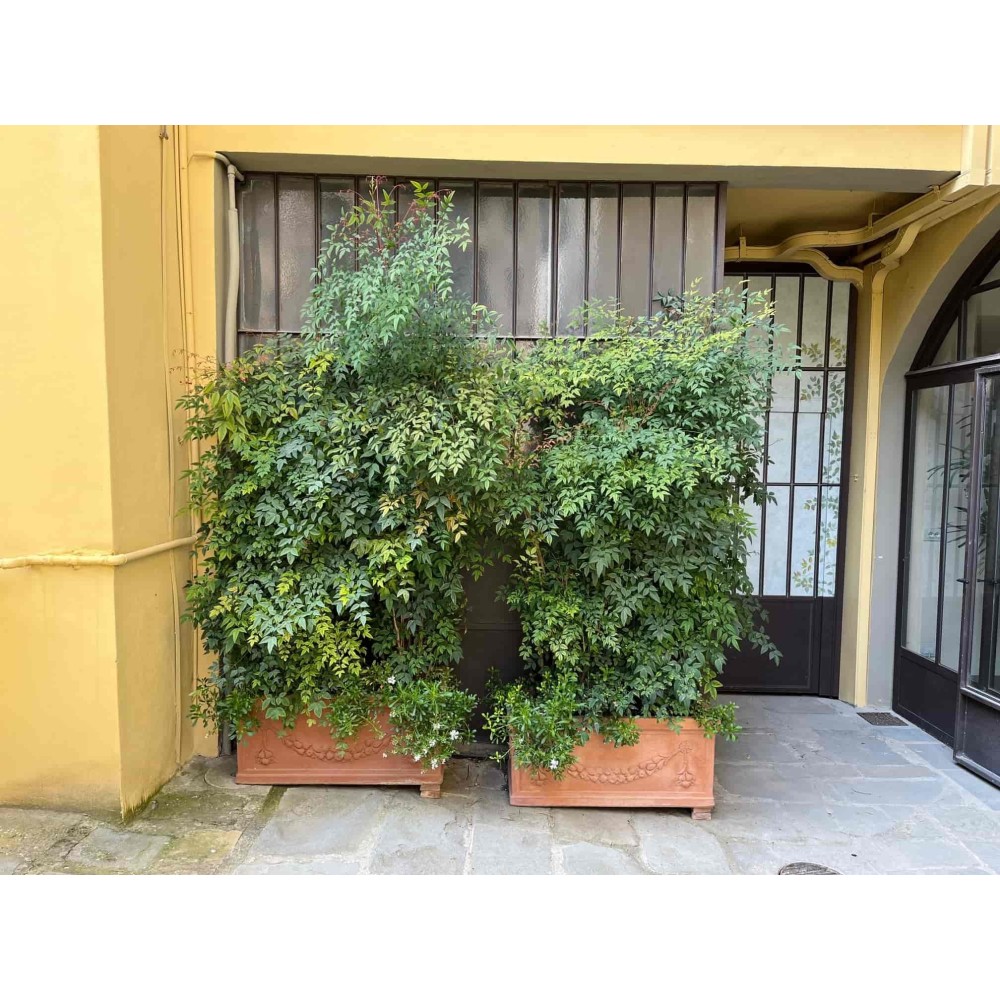 cassetta festonata in terracotta d'Impruneta : acquistalo sul nostro shop !