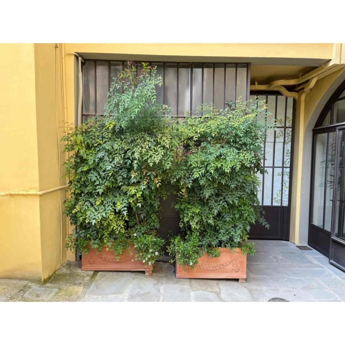 cassetta festonata in terracotta d'Impruneta : acquistalo sul nostro shop !